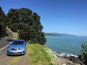 Getting around New Zealand - car rental