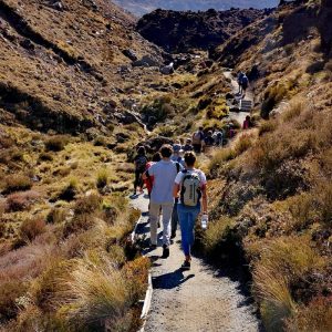 Tongariro National Parks walking