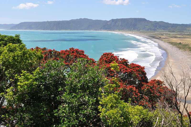 road trip new zealand hicks bay east coast