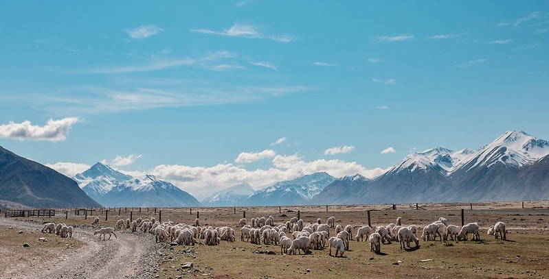 high country farming at Mesopotamia