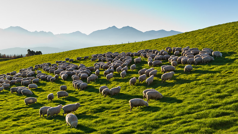 farm tours new zealand