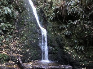peel forest waterfall near geraldine