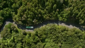 new zealand public transport itinerary in 2 weeks